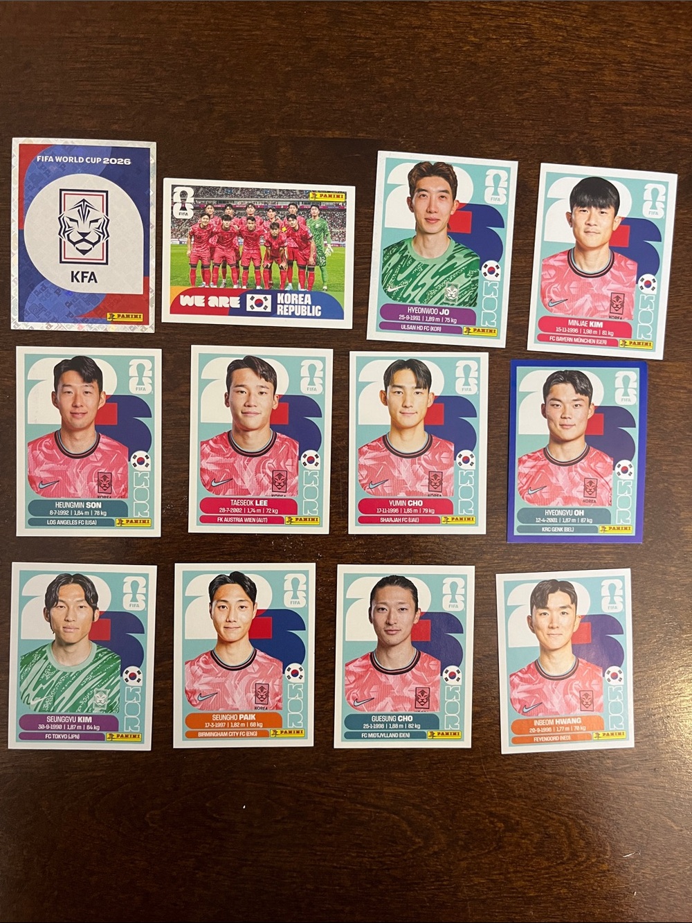 Panini Korea Republic Sticker Collection - Pink & Green Accents